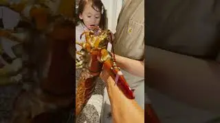 Lobster Bisque #ihavethisthingwithplants #baby #cute #haveitoldyoulatelythatiloveyou #cutebaby