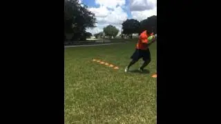 Leroy Wilson, Runningback, Yuba College (2016) - footwork