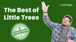Какой освежитель воздуха Little Trees пахнет лучше всего? | Black Ice, Vanillaroma, Summer Linen, New Car Aroma