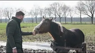 #VIDEO | Nijefeansterwei 3 Bakkeveen - 🌳🐎 Duurzaam en comfortabel wonen
