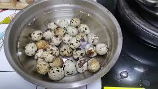How to use new electric quail egg peeling machine？