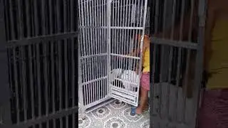 ALUMINUM DOG CAGE BY TOMEYTOKID