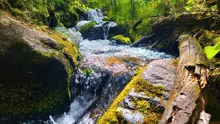 Ben Tyler Trailhead | Colorado Hiking Trails