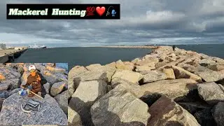 Fishing Session in Denmark mackerel hunting