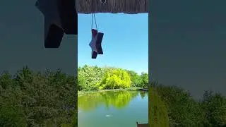 Запорожье СЕЛЬСКОЕ УТРО 🌄 #nature #carp #fishing #travel #summer
