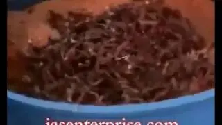 Automatic Spice Grinding Hammer Mill | +91-9426088680 | jasenterprise.com