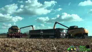 Corn Harvest 2 X New Holland CX8080 + Geringhoff Rota-Disc