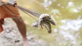 Best Tata fishing | Best Unique tata fishing || best fishing video|small fishing master
