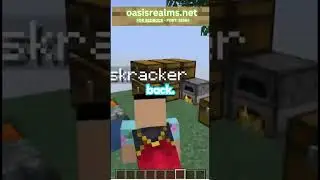 I saw a NOOB on my server #minecraft #troll #minecrafthumor #gaming #minecraftjokes