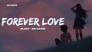 Forever Love Lofi (Slow + reverb) Arjun sahota Satti dhilon | New punjabi song 2026 