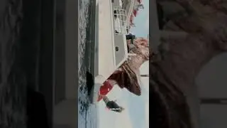 the meg full screen attitude whatsapp status 😱😱