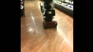 Melissa Marie - General grocery shopping