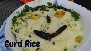 Curd Rice  I  कर्ड राइस तड़के वाली