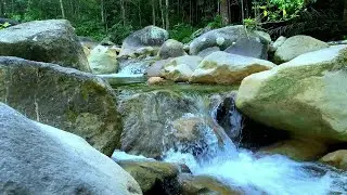 Water Sounds for Meditation and Healing | Gentle River Flow Ambience