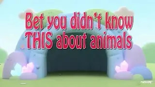 1. Kids Animal Facts | Learn & Fun 🧠| @StooryTimeKids