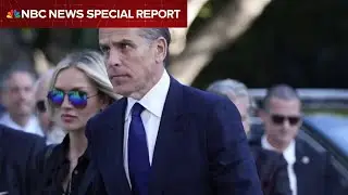 Hunter Biden pleads guilty to federal tax charges