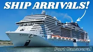 Cruise Ship Arrivals At Port Canaveral!