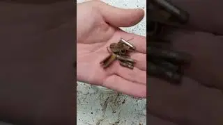 Restoration my old tools silicon gun #old #restoration #tools #shortvideo #my #shorts #short