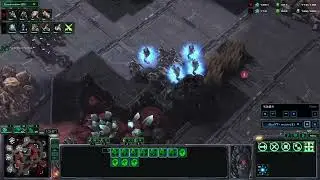 20251226 - [練習] PvT wulala vs AnTiViRus