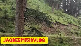 Dudu Basantgarh #Jammu and Kashmir #udhampur #Ramnagar #tourism  #nature #naturelover #youtubevideo 