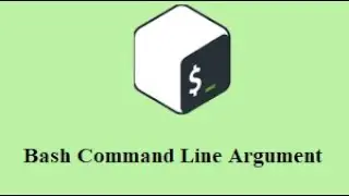 bash command line arguments