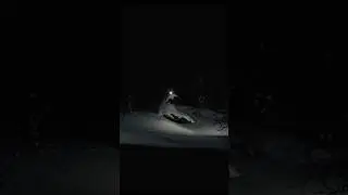 Polar night powder skiing #snow #winter #freeskiing