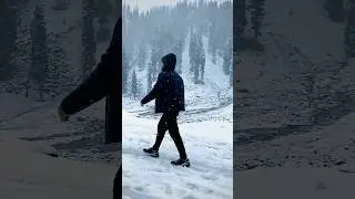 Heavy Snow 🥶☃️🏂 #snowfall  #snow #kashmirheaven #kashmir #ytshorts  #2024snowfall #sonmarg