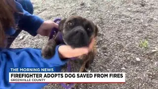 Firefighter adopts dog rescued from Upstate wildfires