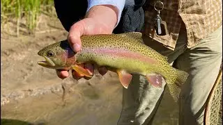 The Canyon that Time Forgot (Fly Fishing Colorado)4K