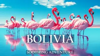 Bolivia: Land of Wonders - Salt Flats, Andes & Indigenous Culture | Soothing Adventure