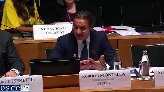 Standing Committee voting on renewal of the mandate of OSCEPA Secretary General Roberto Montella