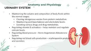 Drugs affecting the Genito Urinary System