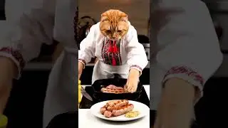 Cooking sausages in kitchen, cat nearly steals show with its playful antics