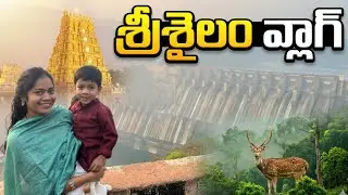 First Vlog ✨ Hyderabad to Srisailam Road Trip 🚗 | Mallikarjuna Swamy Darshan | Deer Sighting 🦌