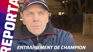 Entra&icirc;nement de Champion - Idylle Express, la cendrillon du Prix de Paris Eqwin - 19/02/26
