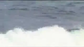 TAJ & SNAKE'S OARSOME ADVENTURE