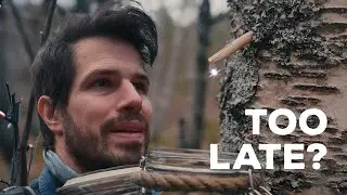 I Almost Missed Birch Sap Season Again