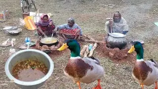 Village Picnic in this Winter||Cooking DUCK MEAT Curry by Grandmother
