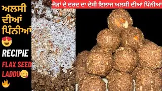 ਸਰਦੀ ਲਈ ਖਾਸ ਅਲਸੀ ਤੇ ਗੁੜ ਦੀਆਂ ਪਿੰਨੀਆਂ❤️अलसी की पिन्नी बनाए पंजाबी स्टाइल में | Alsi Pinni Recipe