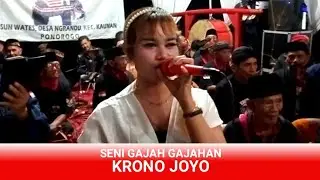 Rengu - Liontin Vina Cover Seni Gajah Krono Joyo