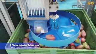AUTOMATIZACION LLENADORES DISCO FRUTA