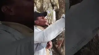 Sechaba Ngiyabonga performance