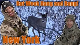 New York Bowhunting &mdash; С Днём ветеранов!