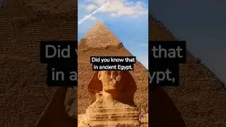 sweet solution: Honey clad servants in Ancient Egypt