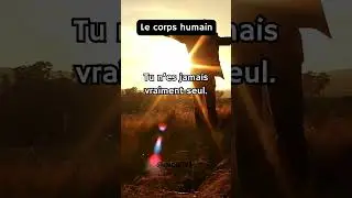Le corps humain ✨