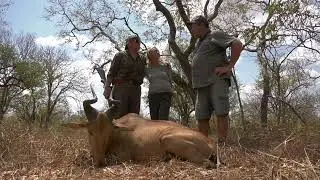 Hunting Hartebeest in Tanzania
