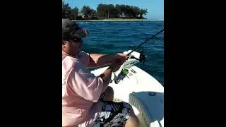 Tampa Tarpon Fishing Charters - 727-831-0111