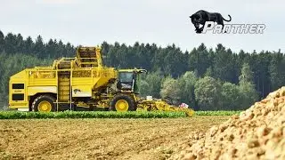 ROPA Panther mit R-Concept - Leistungsstarker 2-Achser R&uuml;benroder von ROPA - Powerfull beetharvester