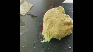Dog in Confusion - Overworked Dough