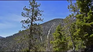 Bonanza Peak from Bonanza North Trailhead, Cold Creek, Nevada